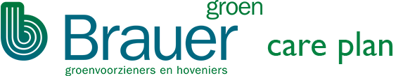 Brauer Groen